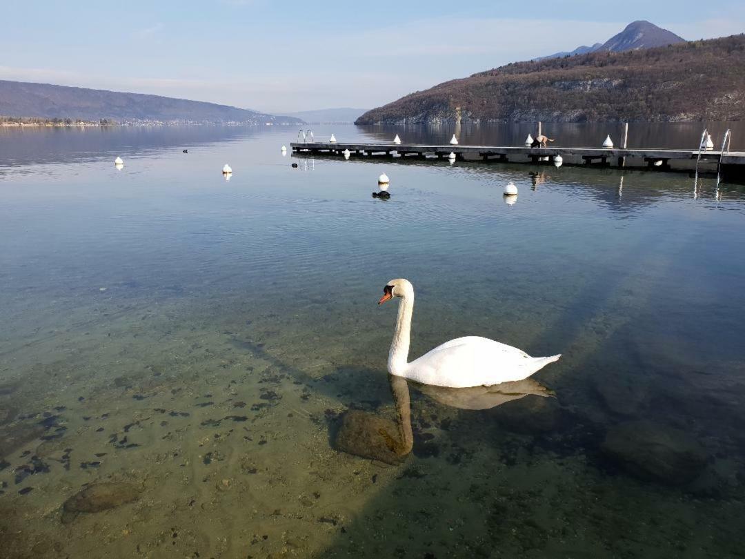 La Baie Des Voiles 3 4 A 6 Personnes Au Bord Du Privee Bed & Breakfast Duingt